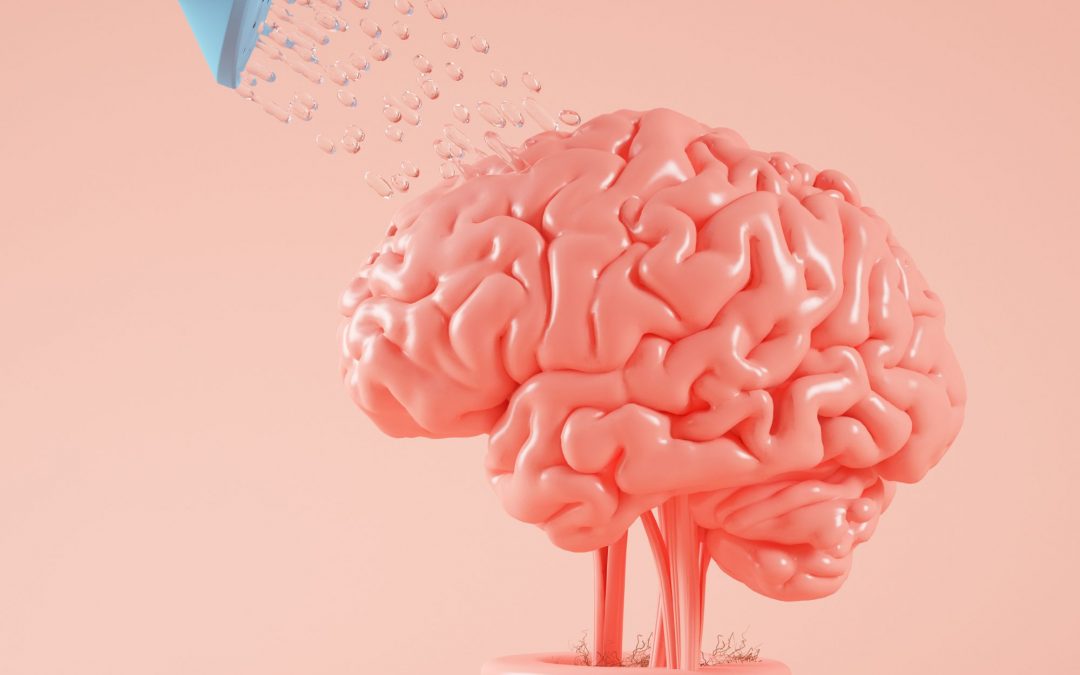 Plasticidad Cerebral