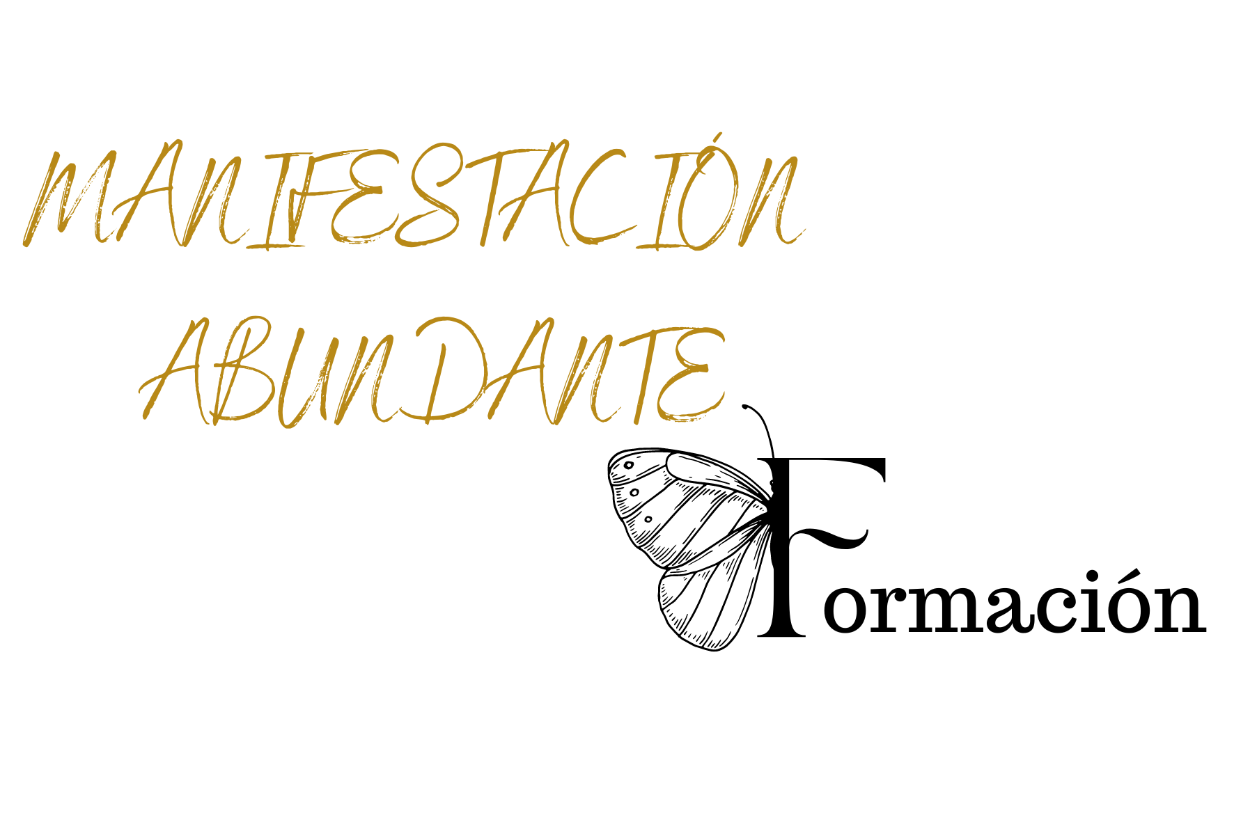 Diseño sin título - 2024-08-27T145941.364